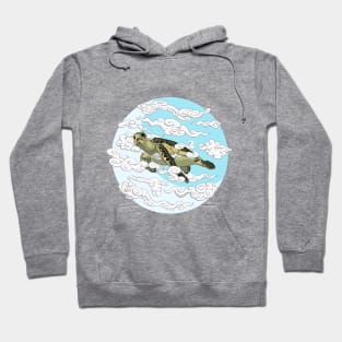 Turtle Flying In The Skies Hoodie